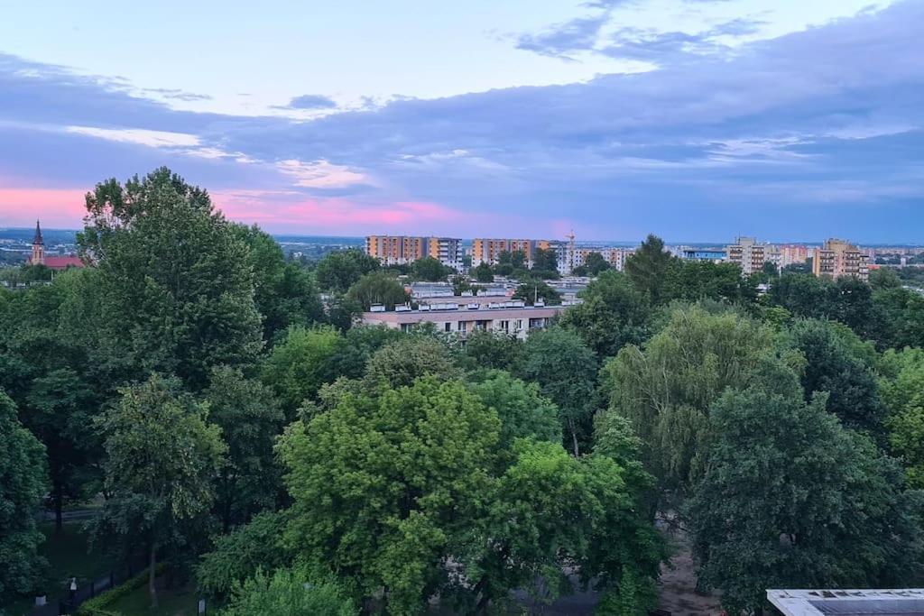 크라쿠프 Uroczy, Jasny Apartament Oraz Bezplatny Parking! 아파트 외부 사진